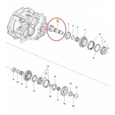 ARBORE PRINCIPAL, SUPERIOR, DINŢI 20 ARBORE PRINCIPAL, SUPERIOR, DINŢI 20