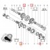 Pinion viteza 1,2,5,6 - cutie de viteze manuala Renault Master 2.3 DCI 6 trepte PF Pinion viteza 1,2,5,6 - cutie de viteze manuala Renault Master 2.3 DCI 6 trepte PF