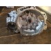 Cutie de viteze Seat Ibiza 1.4 TDI 2008-2011